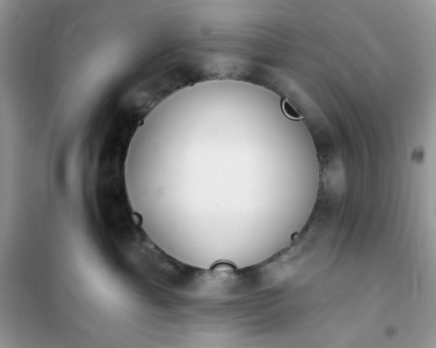 X0000102020429200808011428