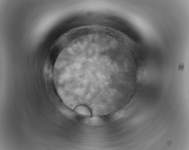 X0000102020431200808011428