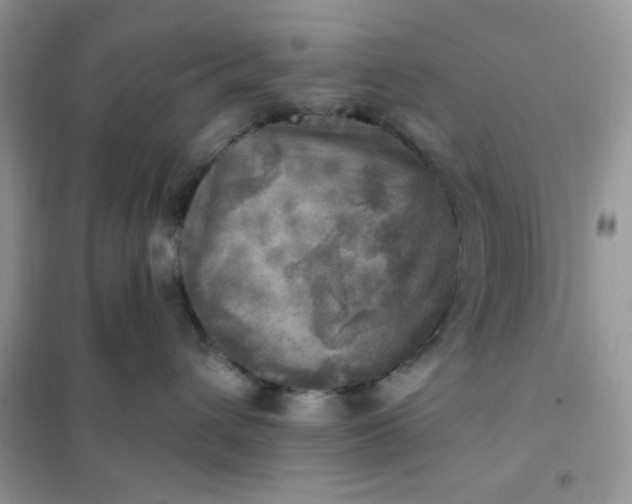 X0000102020432200808011428