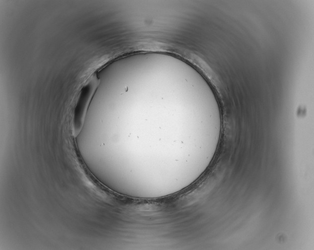 X0000102020433200808011427