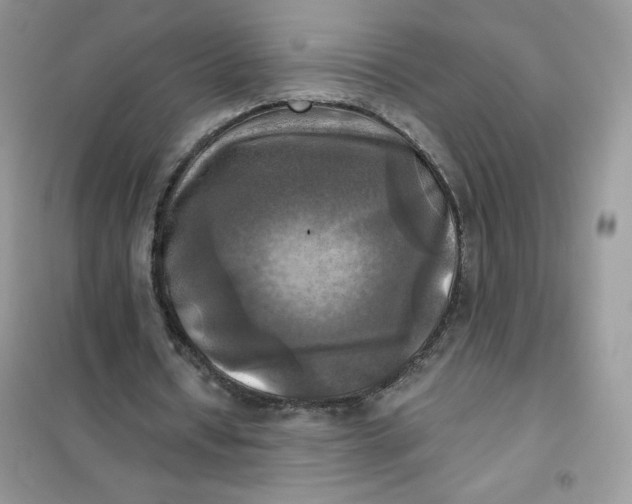 X0000102020434200808011427