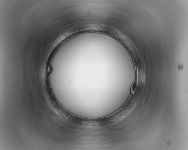 X0000102020435200808011427