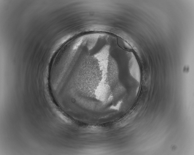 X0000102020437200808011427