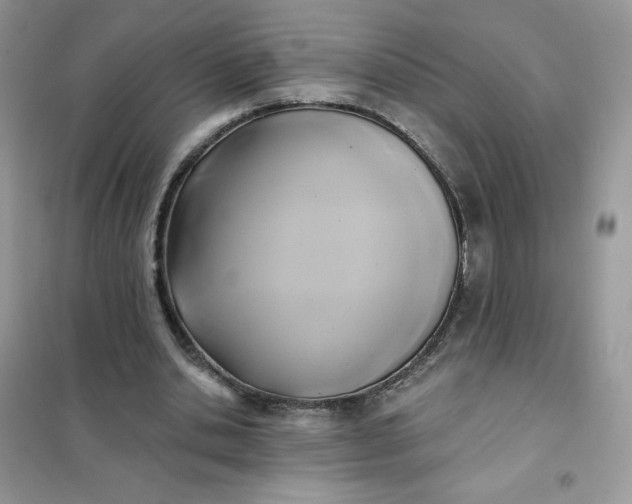 X0000102020438200808011428