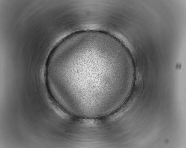 X0000102020439200808011428