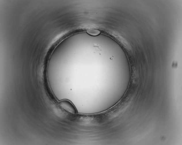 X0000102020440200808011428