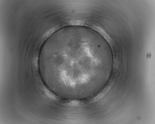 X0000102020441200808011428
