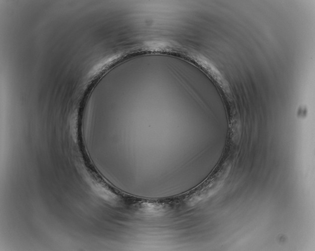 X0000102020442200808011428