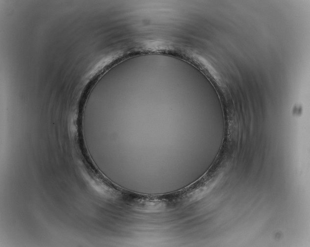 X0000102020443200808011428