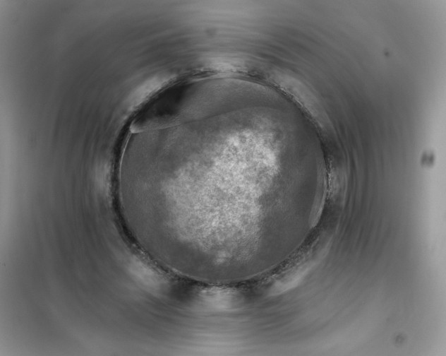 X0000102020444200808011428