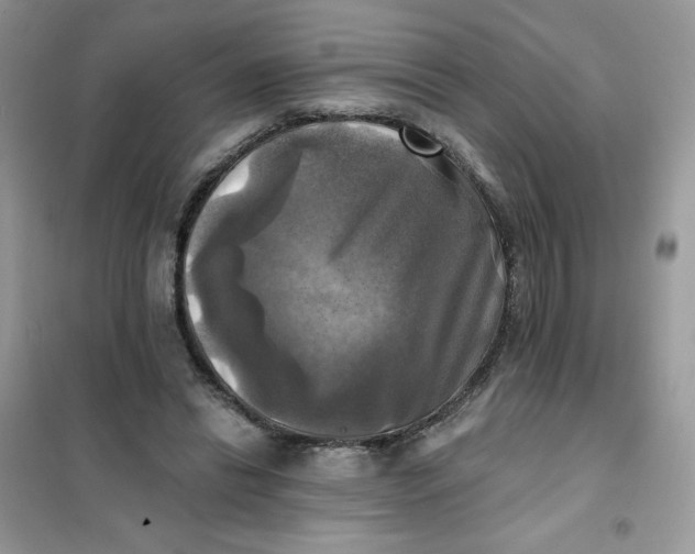 X0000102020446200808011428