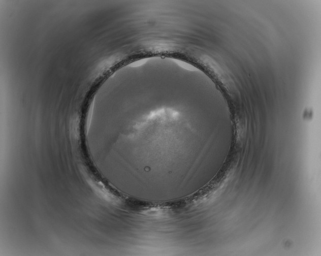 X0000102020447200808011428