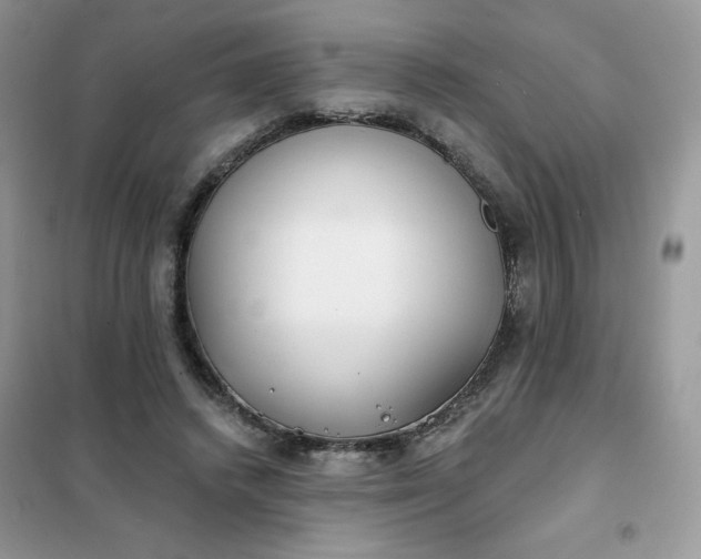 X0000102020448200808011428