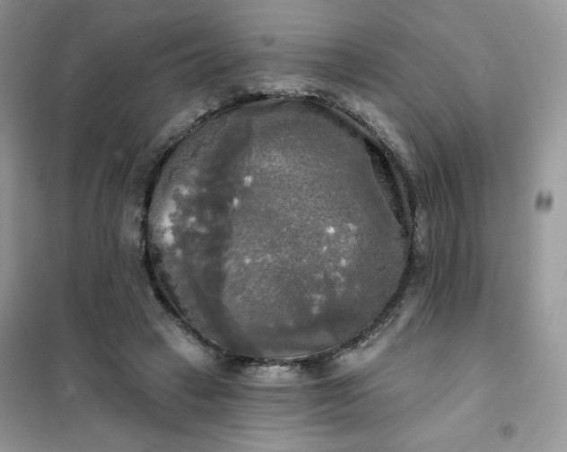 X0000102020449200808011428