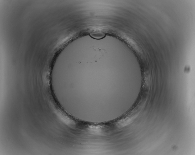 X0000102020450200808011428