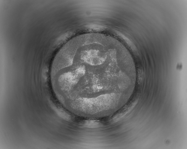 X0000102020451200808011428