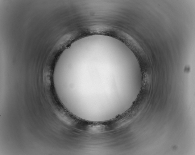 X0000102020452200808011428
