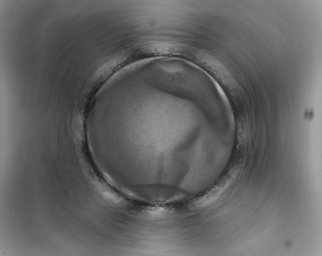 X0000102020453200808011428