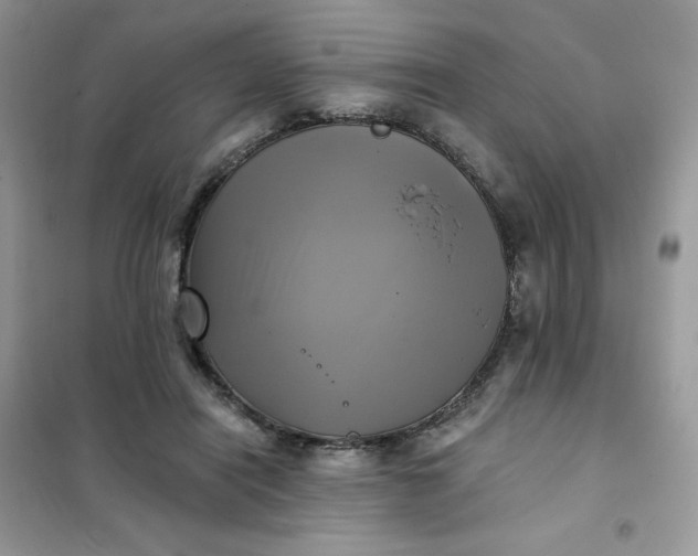 X0000102020454200808011428