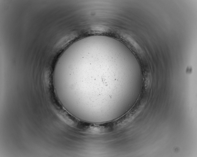 X0000102020455200808011428