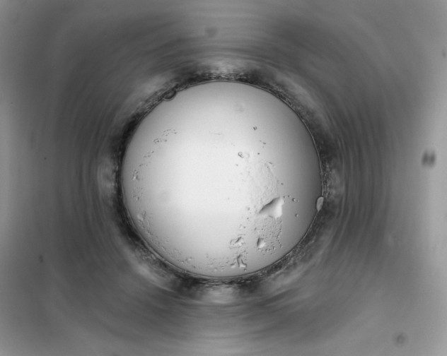 X0000102020456200808011428
