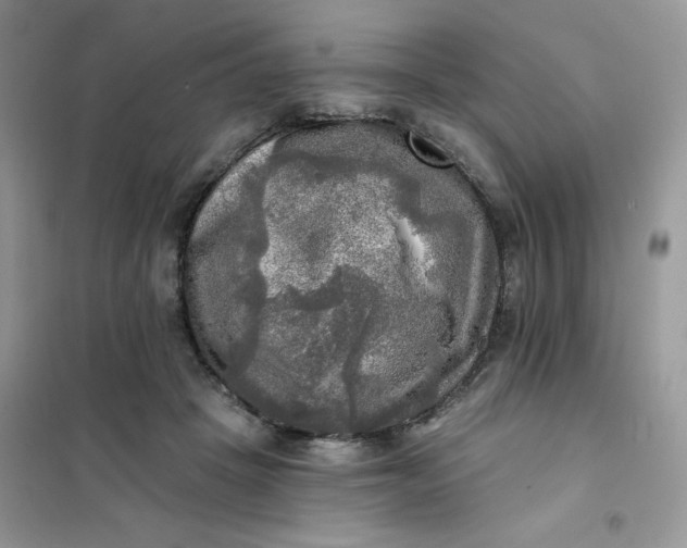 X0000102020457200808011428