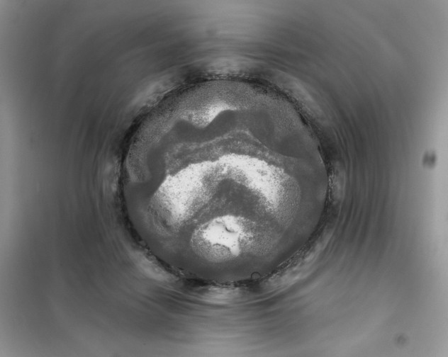 X0000102020458200808011428