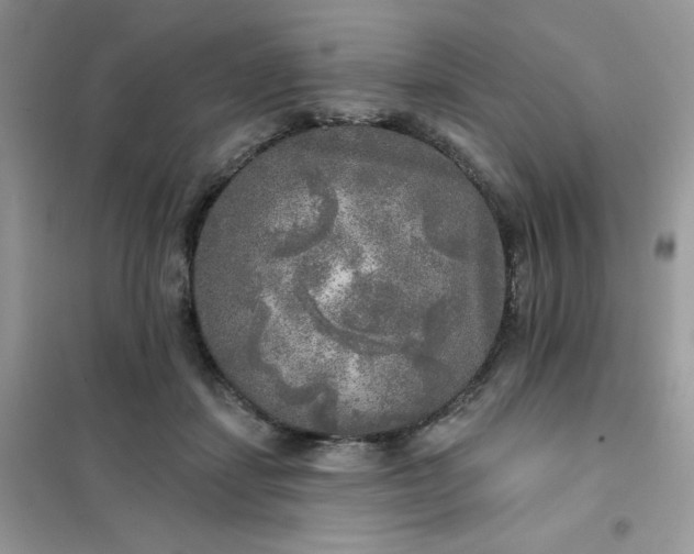 X0000102020459200808011428