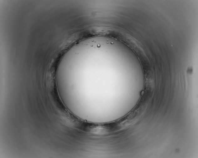X0000102020460200808011428