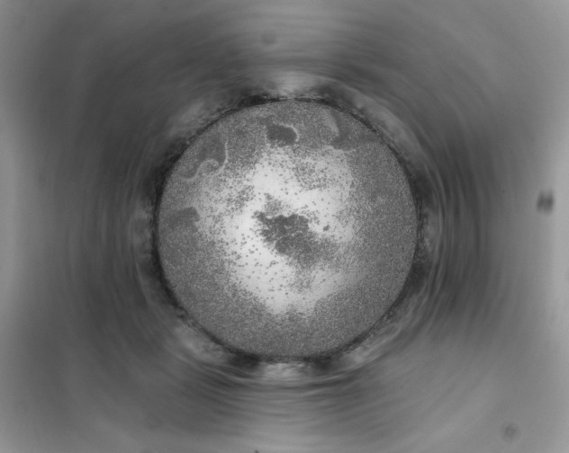 X0000102020461200808011428