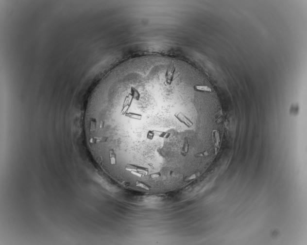 X0000102020462200808011428