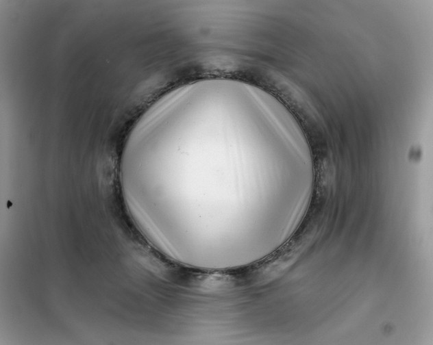 X0000102020463200808011428