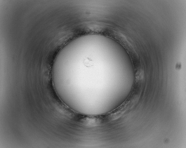 X0000102020464200808011428