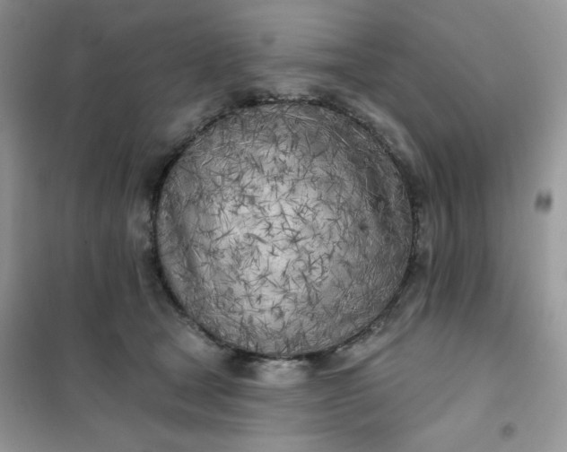 X0000102020465200808011428