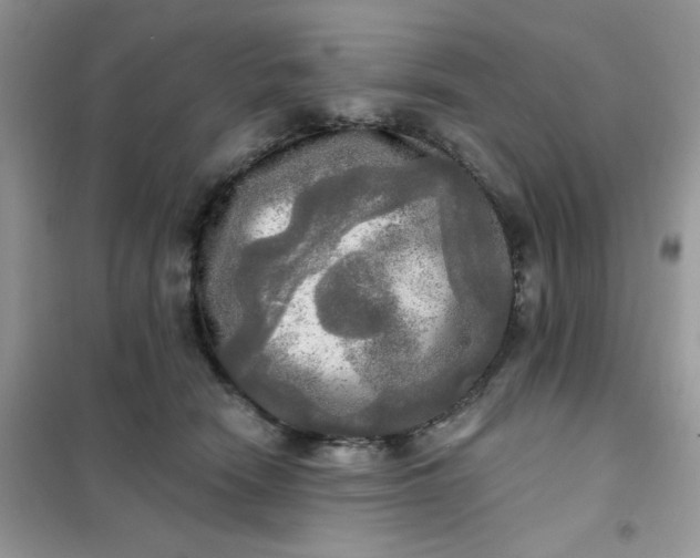 X0000102020466200808011428