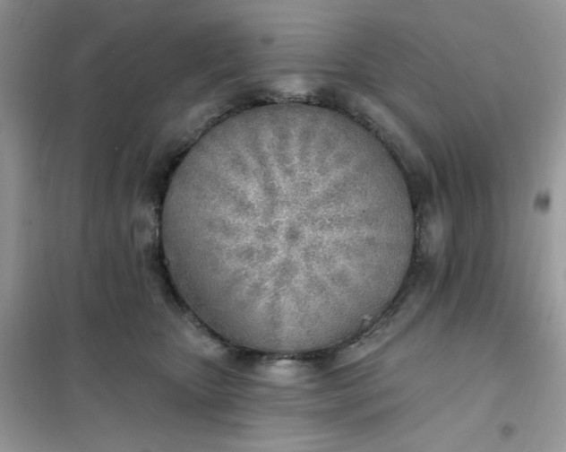X0000102020467200808011428