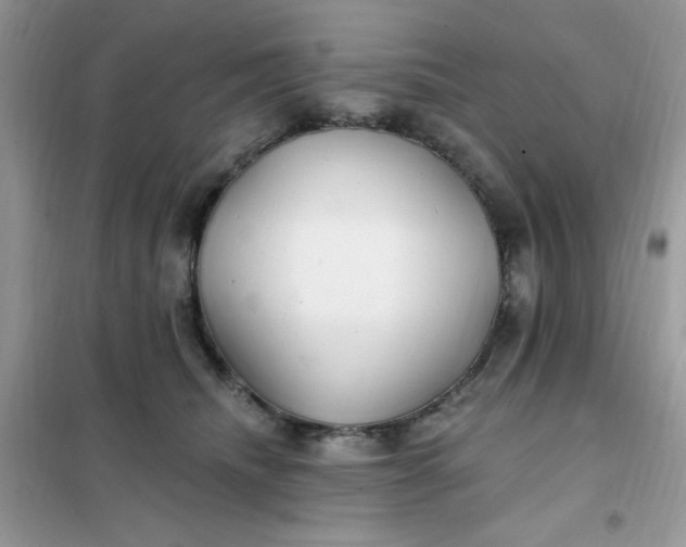 X0000102020468200808011428