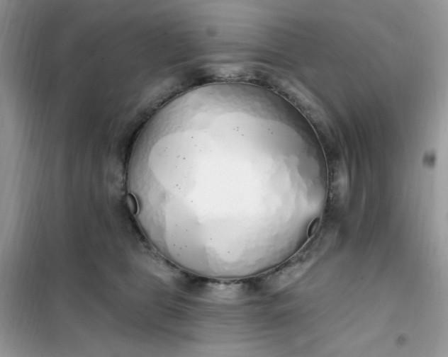 X0000102020469200808011428