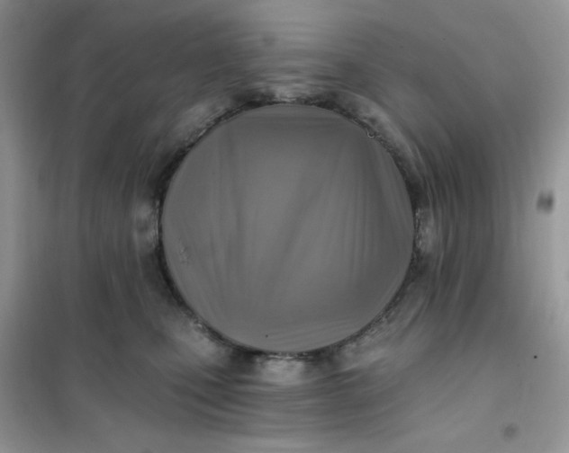 X0000102020471200808011428