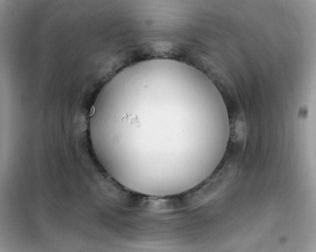 X0000102020472200808011428