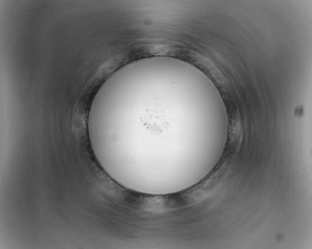 X0000102020473200808011428