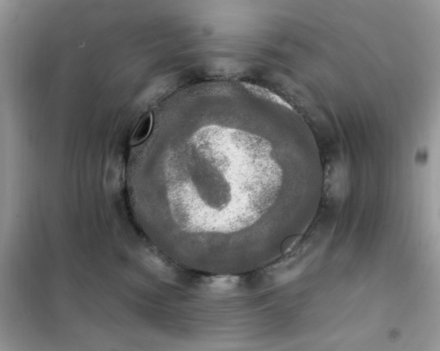 X0000102020474200808011428