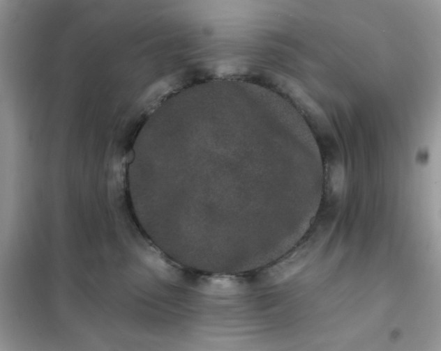 X0000102020475200808011428