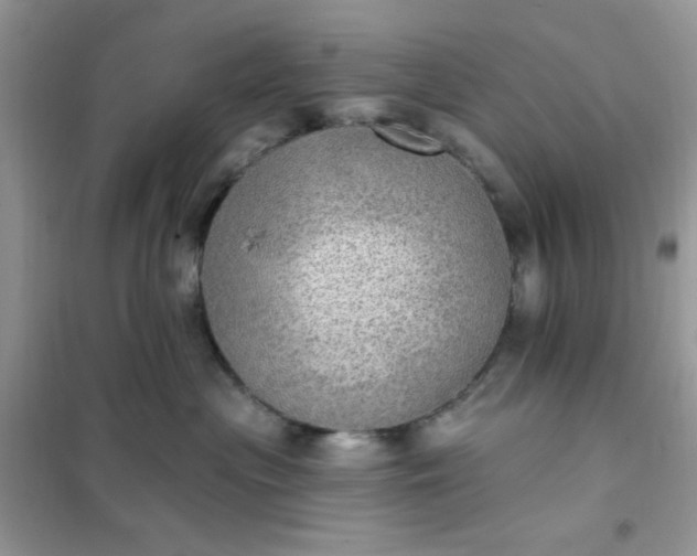 X0000102020477200808011428