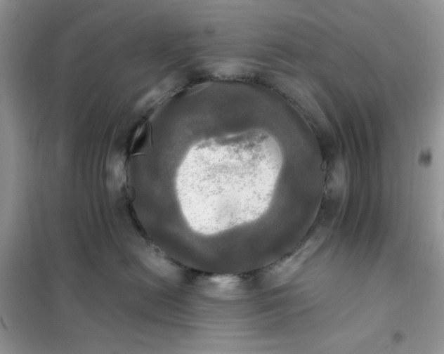 X0000102020478200808011428