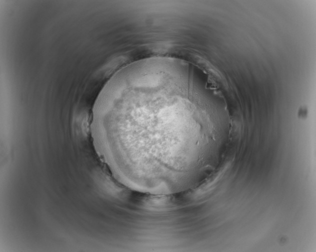 X0000102020479200808011428
