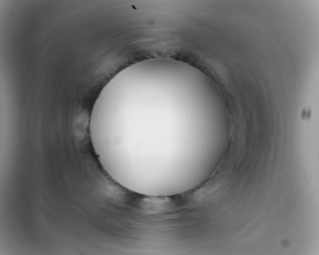 X0000102020480200808011428