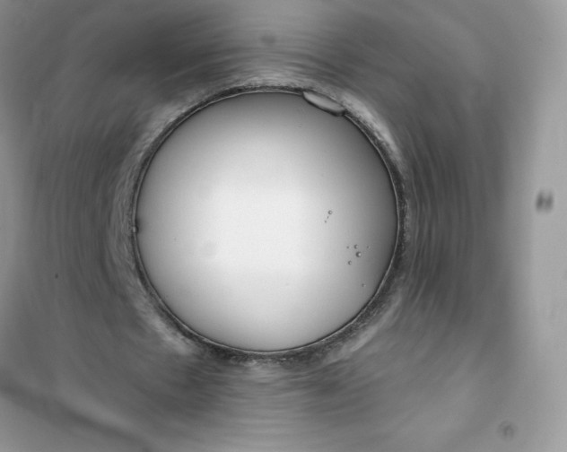 X0000102020481200808011427