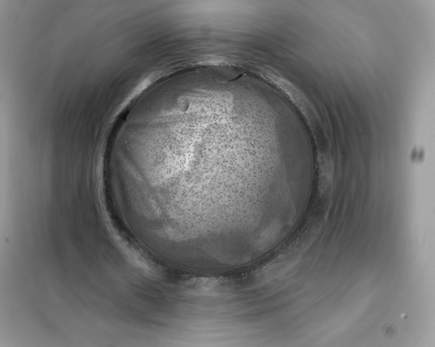 X0000102020482200808011427