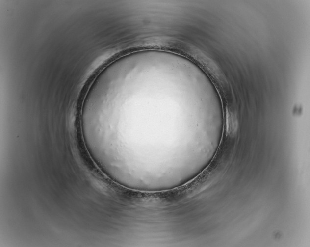 X0000102020483200808011427